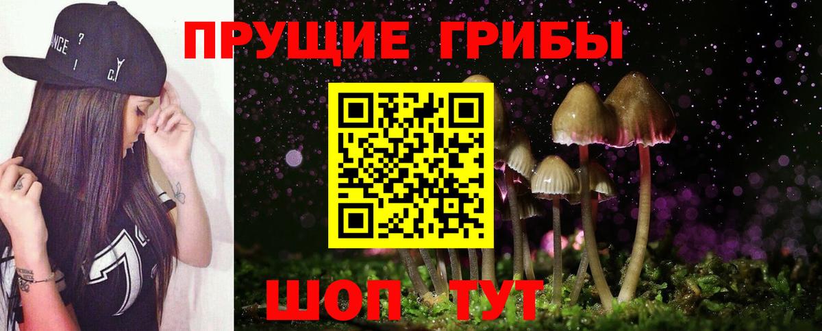 Псилоцибиновые грибы Psilocybe  Вход с VPN  Галлюциногенные грибы мицелий  сколько стоит  Орск 